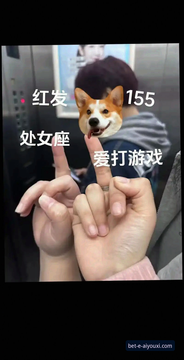 爱游戏体育口碑背后的真相：一个新手必须知道的深度解析